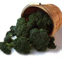 Broccoli